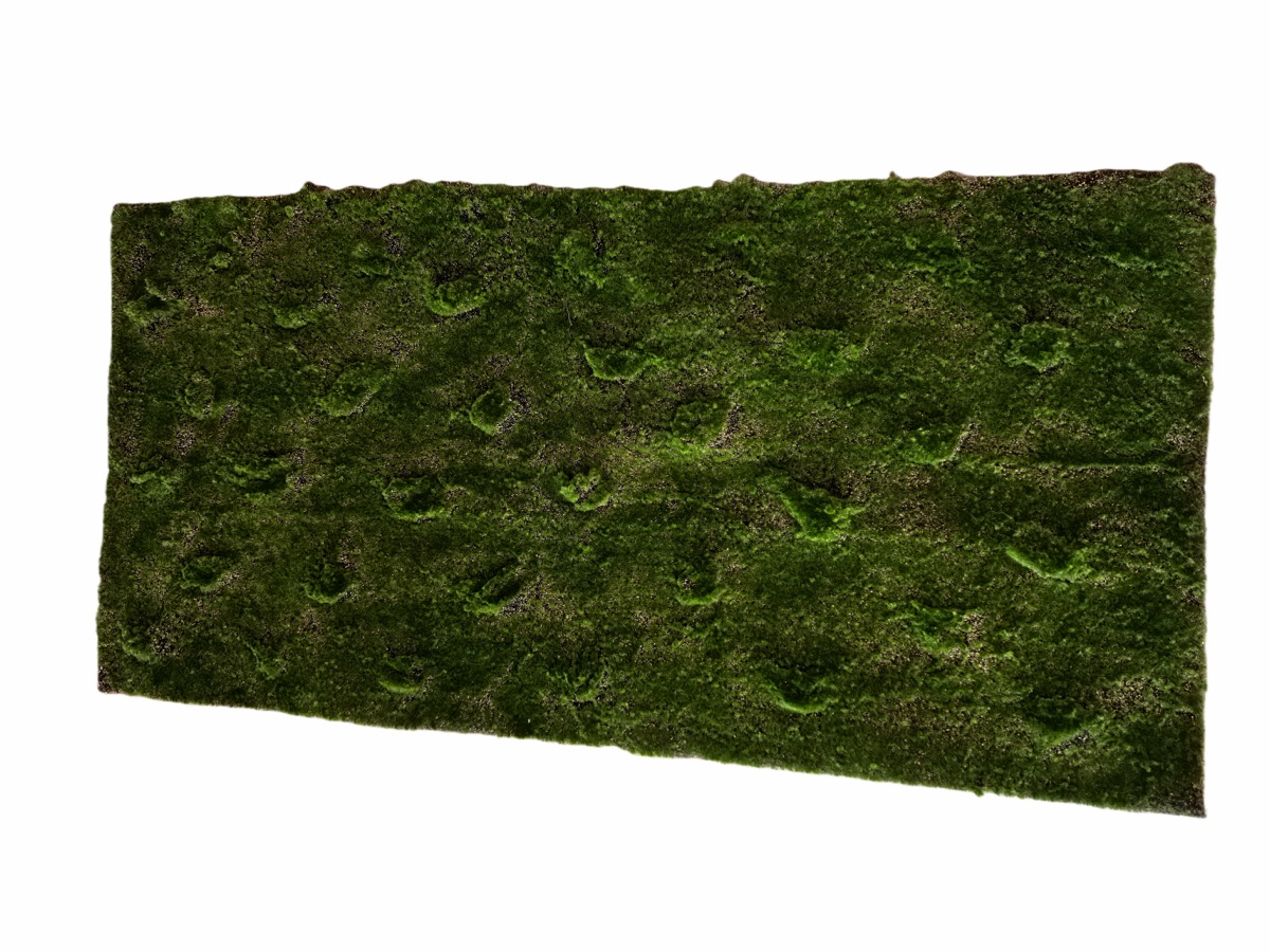 Artificial Mossy Bark Panel with Real Tree Bark - Rustic Accent Walls & Window Displays - 100x50cm by Everbloom Florals