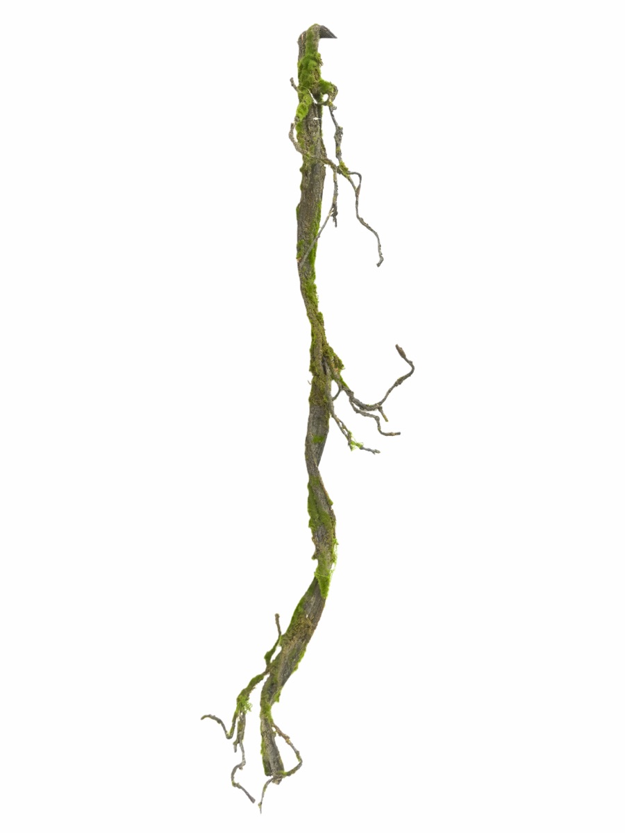Artificial Mossy Branch Stem - Natural Wood Texture - Arches, Centerpieces & Installations by Everbloom Florals