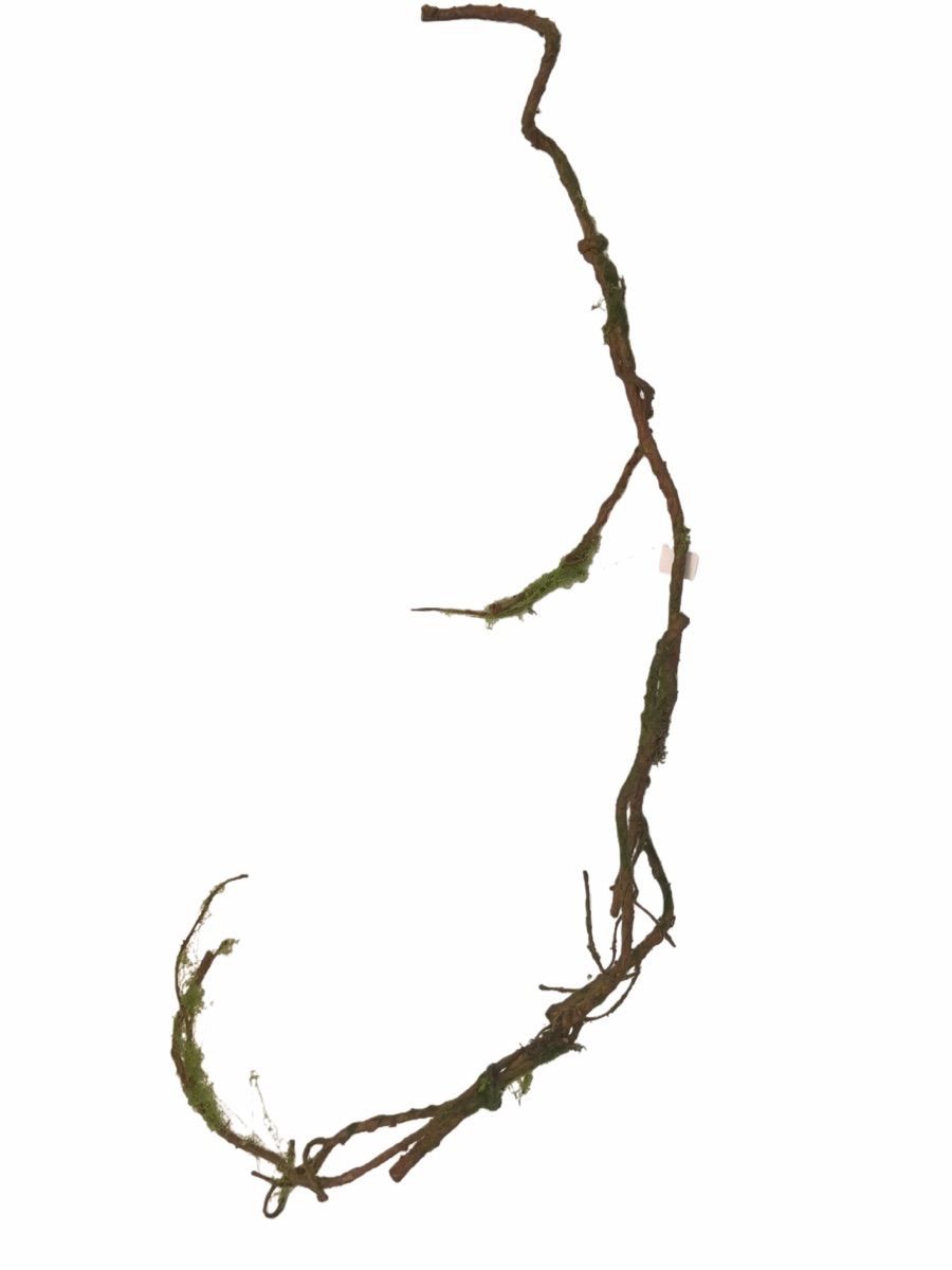 Artificial Mossy Branch Stem - Natural Wood Texture - Arches, Centerpieces & Installations by Everbloom Florals