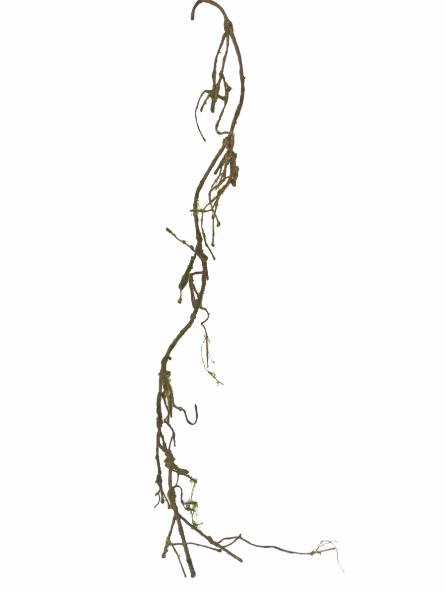 Artificial Mossy Branch Stem - Natural Wood Texture - Arches, Centerpieces & Installations by Everbloom Florals