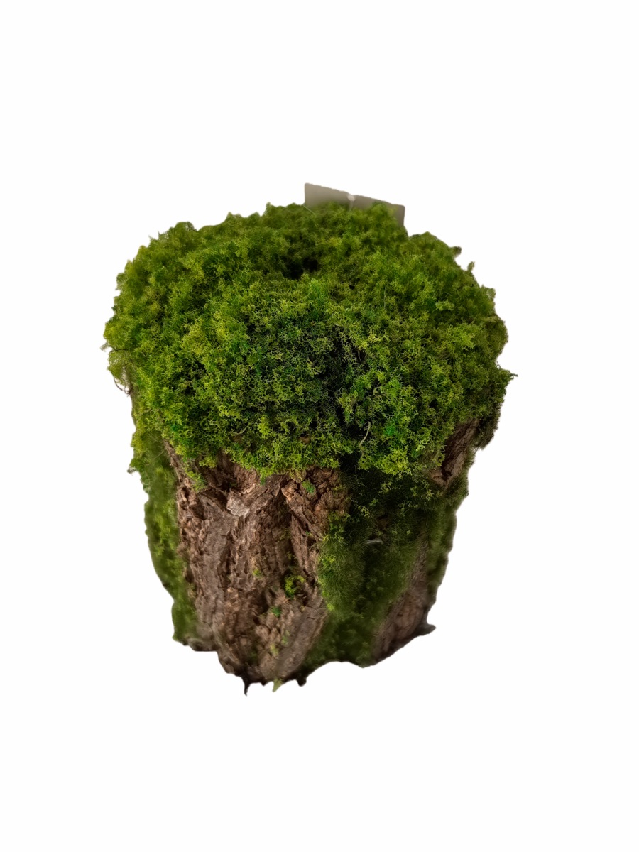 Artificial Mossy Tree Stump Decor - Real Bark Texture - Event Props & Visual Merchandising - 13x13x15cm by Everbloom Florals