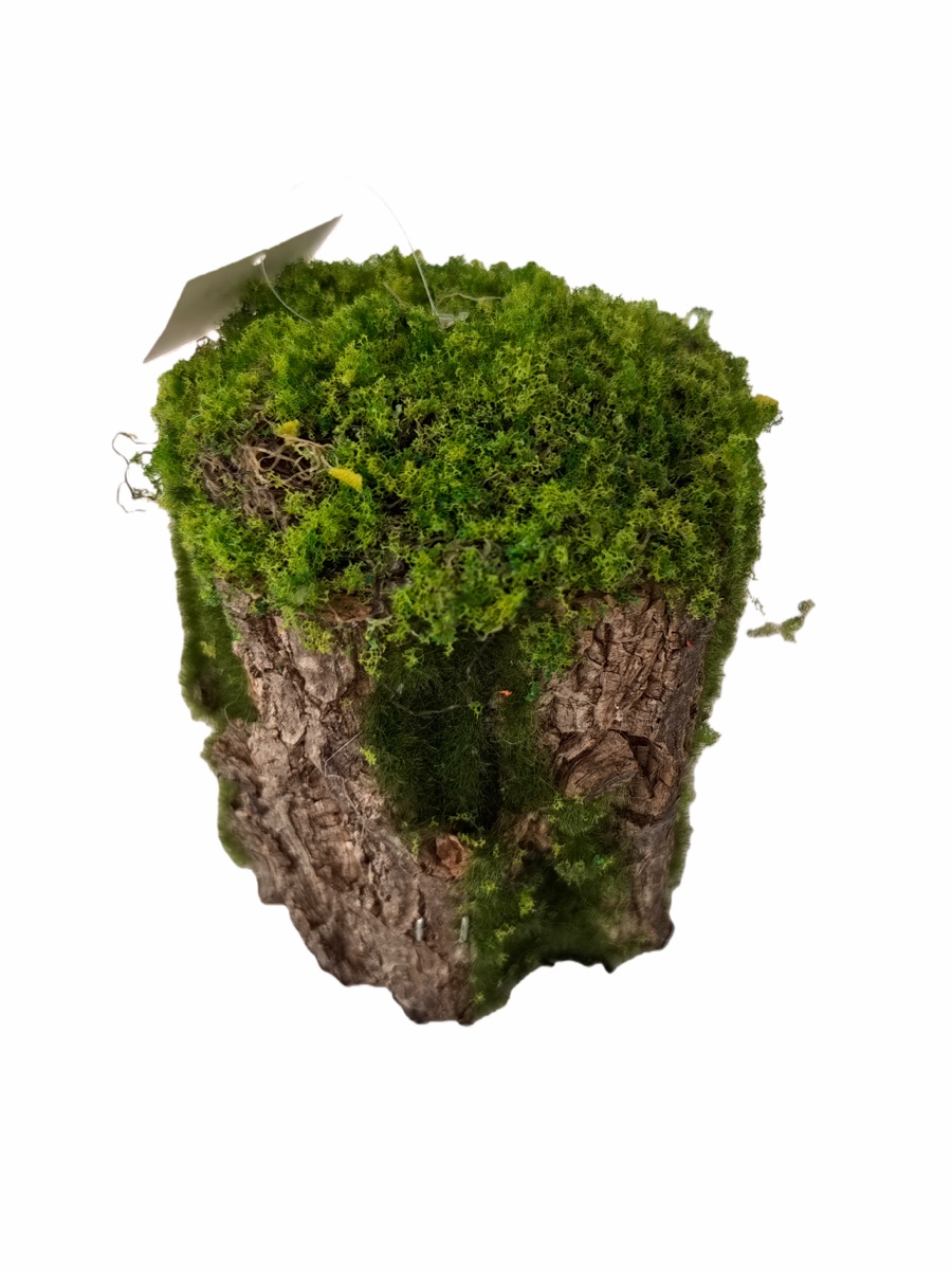 Artificial Mossy Tree Stump Decor - Real Bark Texture - Event Props & Visual Merchandising - 17x17x18cm by Everbloom Florals