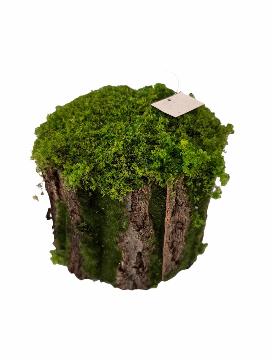Artificial Mossy Tree Stump Decor - Real Bark Texture - Event Props & Visual Merchandising - 20x20x16cm by Everbloom Florals