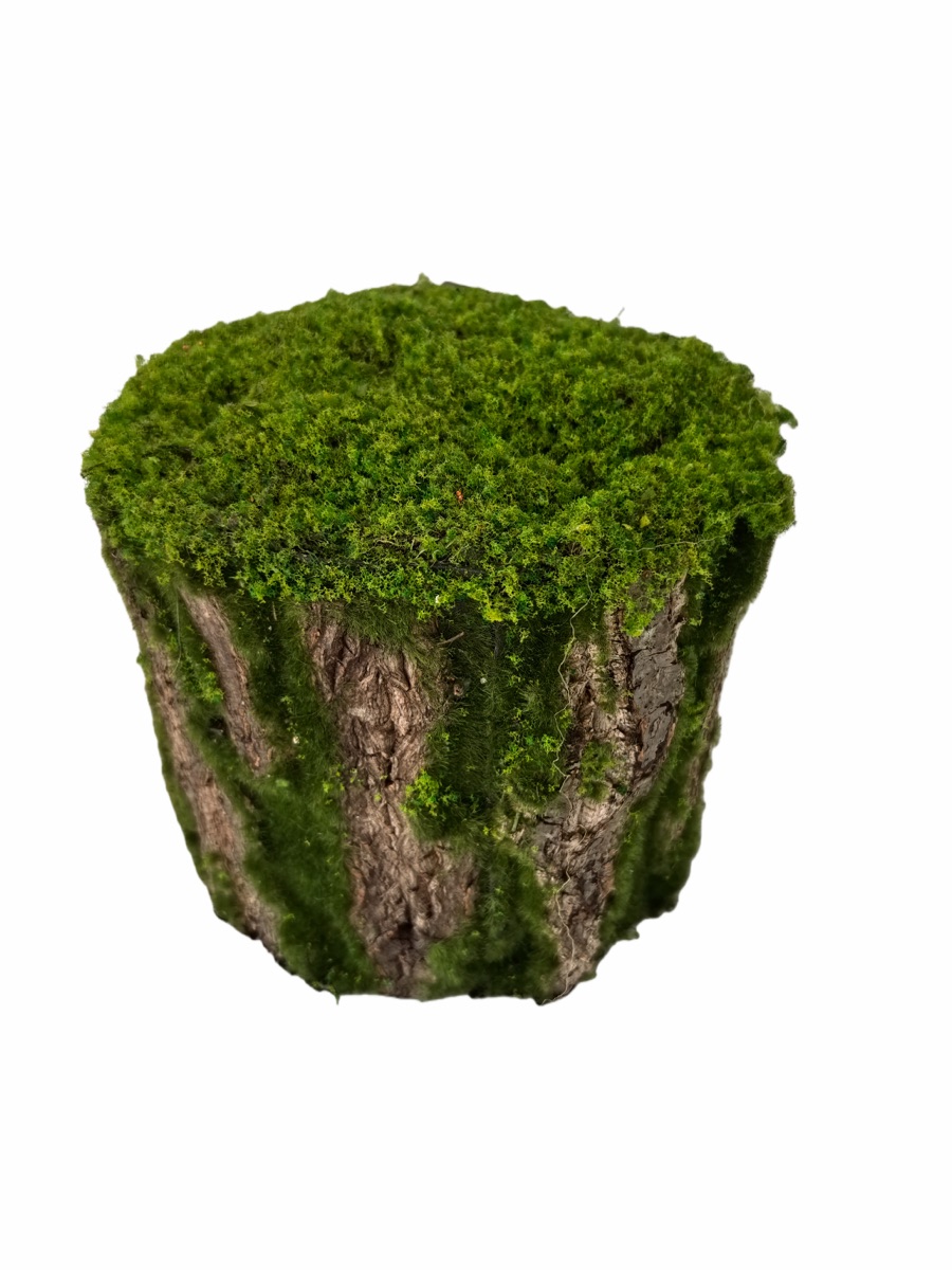 Artificial Mossy Tree Stump Decor - Real Bark Texture - Event Props & Visual Merchandising - 22x22x18cm by Everbloom Florals