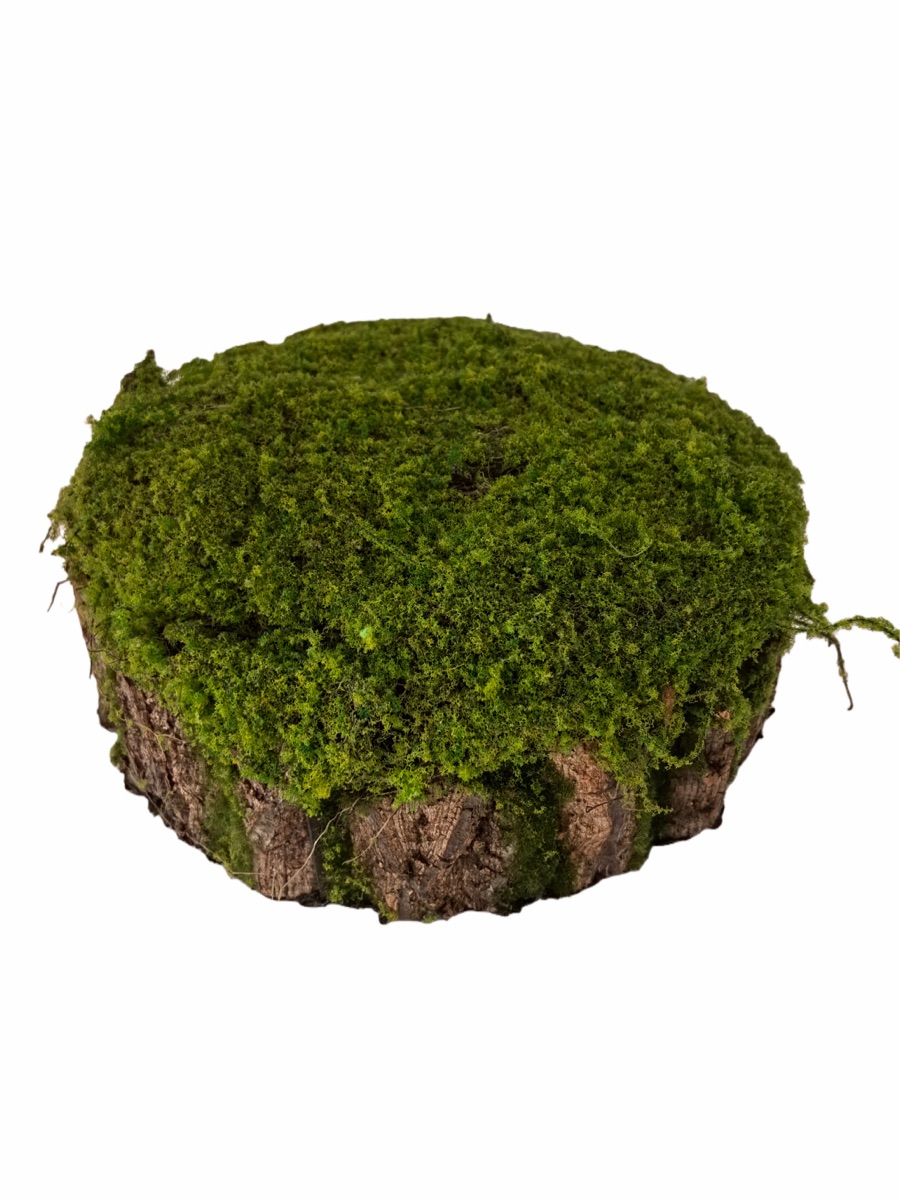 Artificial Mossy Tree Stump Decor - Real Bark Texture - Event Props & Visual Merchandising - 35x35x12cm by Everbloom Florals