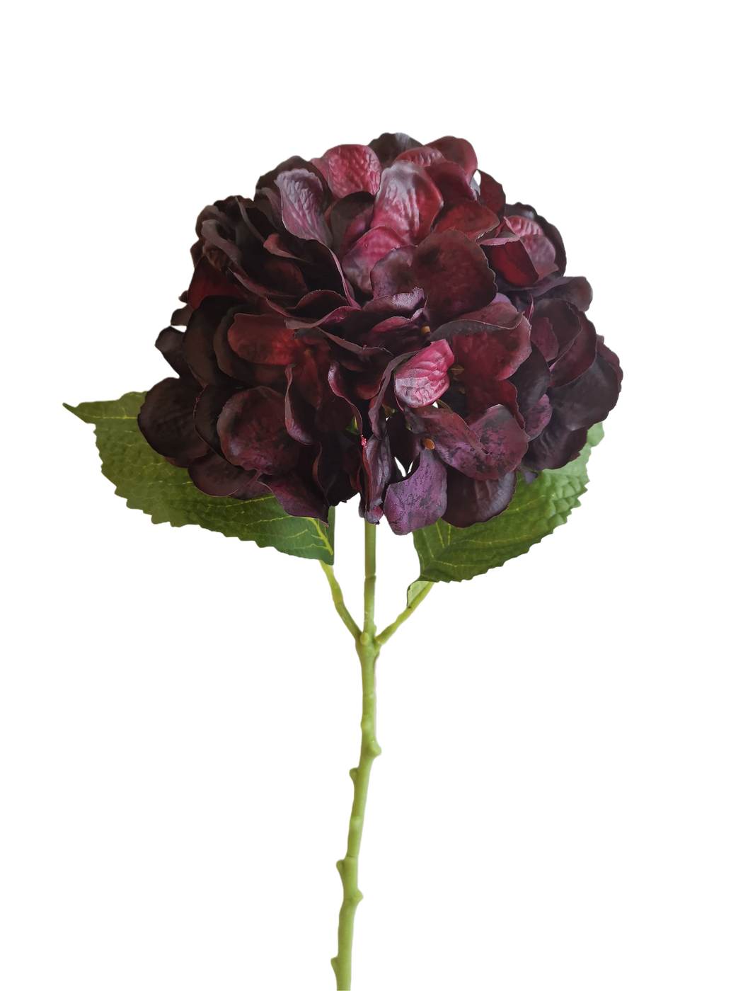 Real Touch 50*20*10CM Hydrangea - Assorted - Wholesale Artificial Flowers | EBG04530938#BU