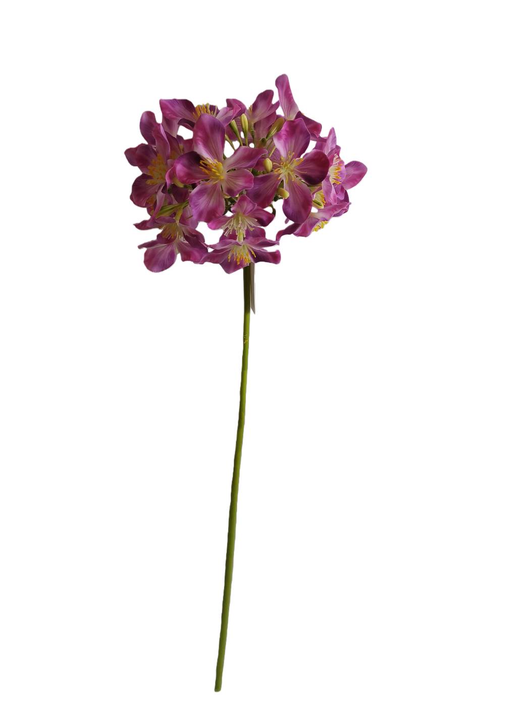 Real Touch 62*17*12CM Pear Blossom - Assorted - Wholesale Artificial Flowers | EBG0426607#PU