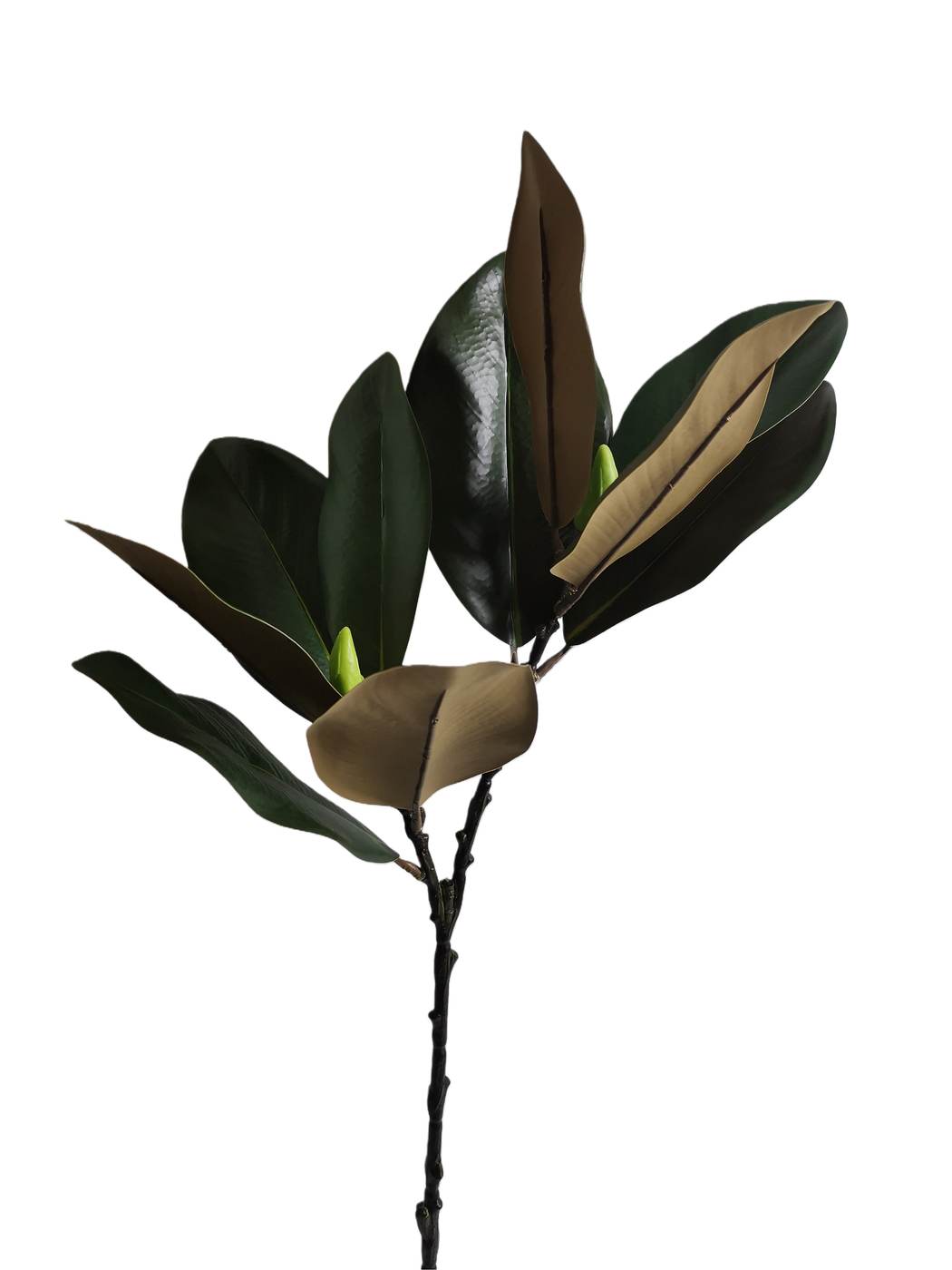 Real Touch 65*20*10CM Magnolia leaf - Assorted - Wholesale Artificial Flowers | EB022602377#GR