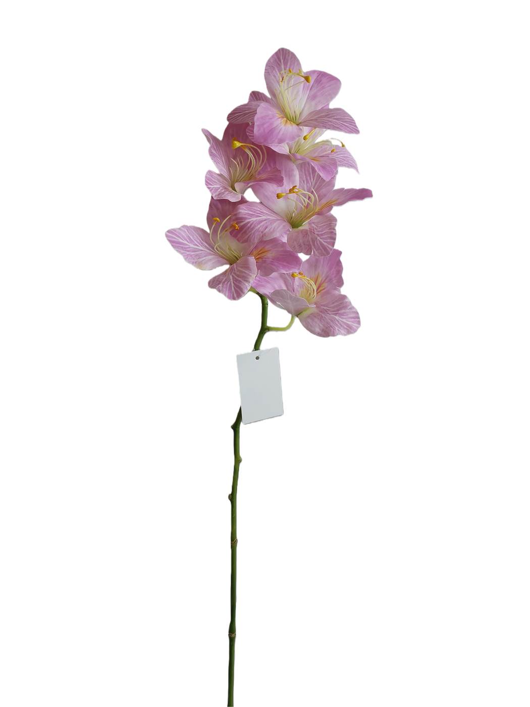 Real Touch 73*12*5CM Chinese Orchid - Assorted - Wholesale Artificial Flowers | EBG0425617#PK