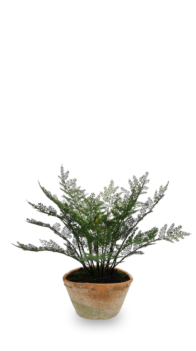 35.56CM Fern Leaf Potted Plant