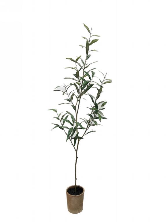 121.92CM Curled Olive Leaf Potted Plant