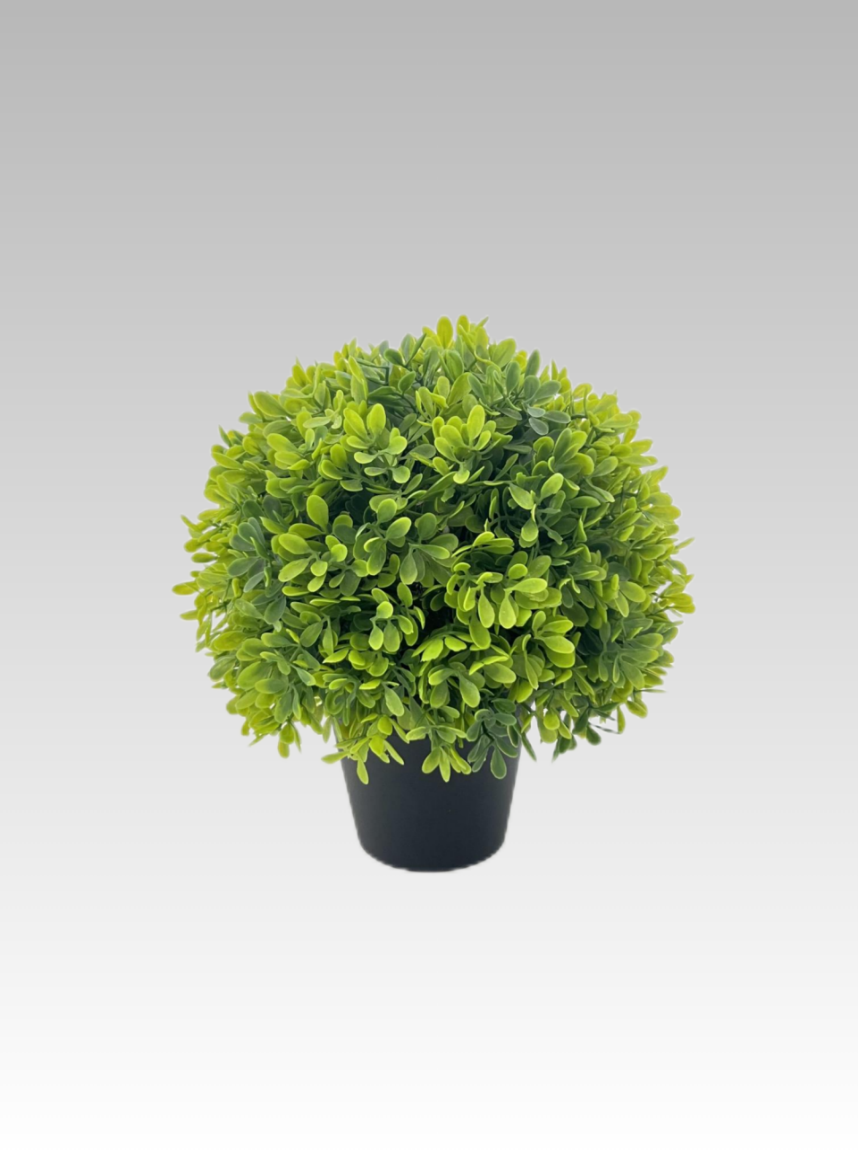 22.86CM Boxwood Ball Potted Plant
