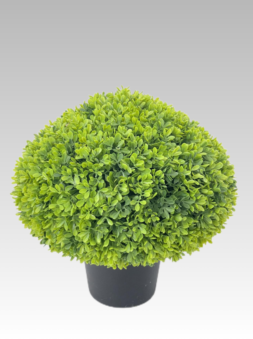 38.1CM Boxwood Potted Plant