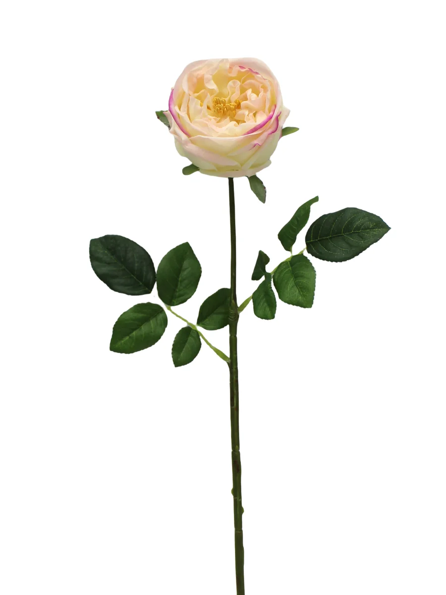 Real Touch Artificial Rose Stem - 24.02" thumbnail 6